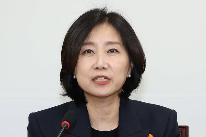 허은아 전 개혁신당 대표/ 사진=뉴스1