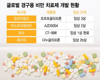 글로벌 경구용 비만 치료제 개발 현황/디자인=윤선정