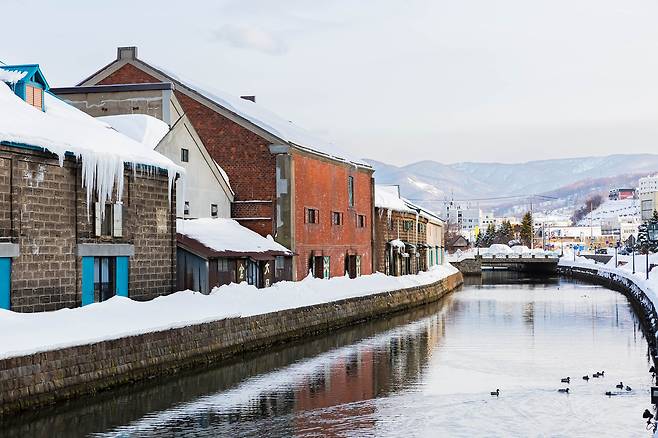 오타루, 사진은 기사 내용과 무관 [123RF]