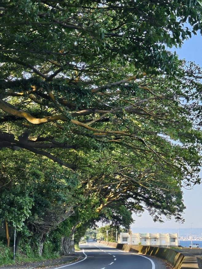 3fb8c32fffd711ab6fb8d38a4383746fc48250152bb934a3e4b545f0dd5682c2e7182515fba6d02b0e92d83f