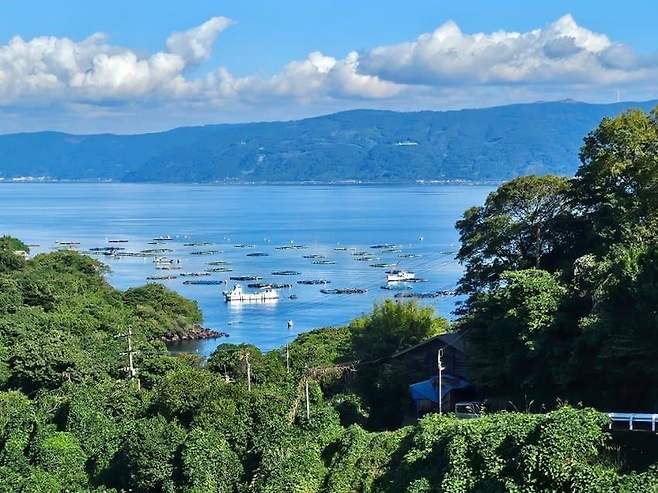 28b9d932da836ff537ee84ec45827d6cbab655256eb078696d855204f6c6f50a77eb