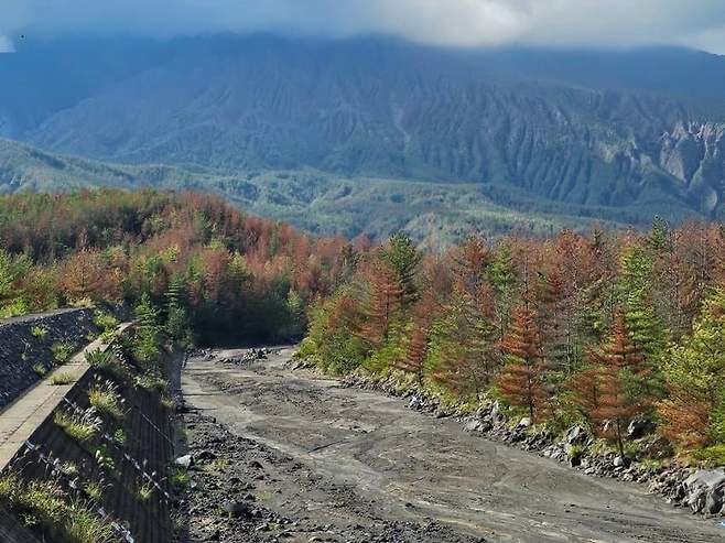 28b9d932da836ff537ee84ec4188776598d99a79e0aff4ca779c54304b2a2862c245