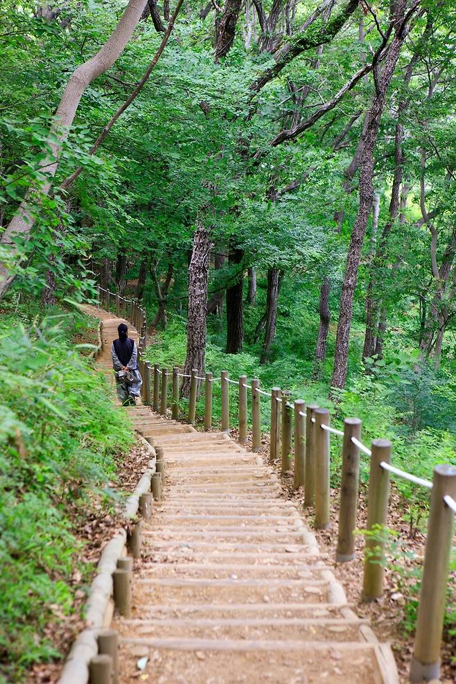 삼남길 / 사진 = 한국관광공사