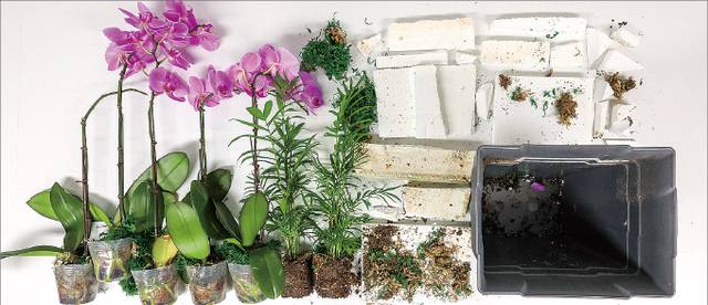 본지가 해체한 호접란 화분 1개에서 나온 자재들. 플라스틱 포트 5개와 인공 이끼, 스티로폼 조각 20여개가 한데 들어 있었다. 이종수 기자