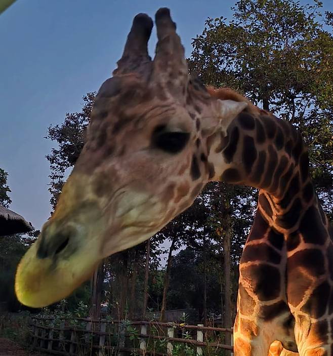 사진=제이쓴 SNS