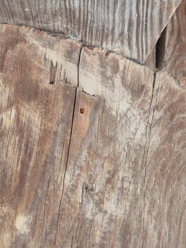 지난달 2일 오후 유네스코 세계문화유산인 경북 안동시 병산서원 만대루 나무 기둥에 두께 2∼3㎜, 깊이 약 1㎝의 못자국이 새겨져 있다. 못자국은 지난해 12월 30일 KBS드라마 제작팀이 드라마 촬영을 위해 소품용 모형 초롱을 매다는 과정에 생겨났다. 연합뉴스