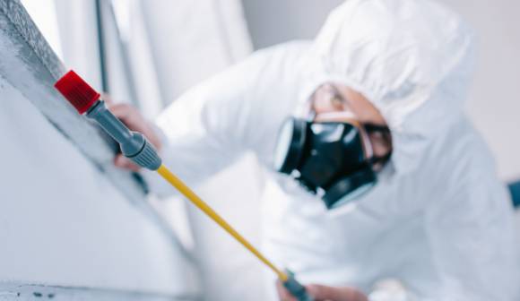 연구팀은 높은 농도의 카페인이 살충제로 활용될 수 있다고 밝혔다. 사진은 본 기사 내용과 무관함. [사진=blog-qhse]