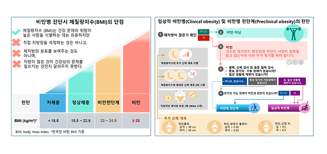 비만명 진단시 BMI 단점 및 임상적 비만병, 비만병 전단계의 진단[분당서울대병원 제공]