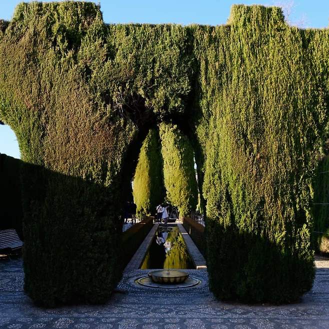 098ef300bc876cf726ee9ffb1cc1231dd284daf2a835d9348dae1b2772