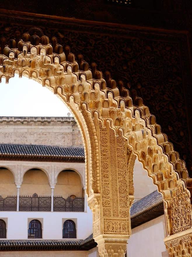 098ef300bc866af720b5c6b236ef203eef22d0eb2dd9b3e386