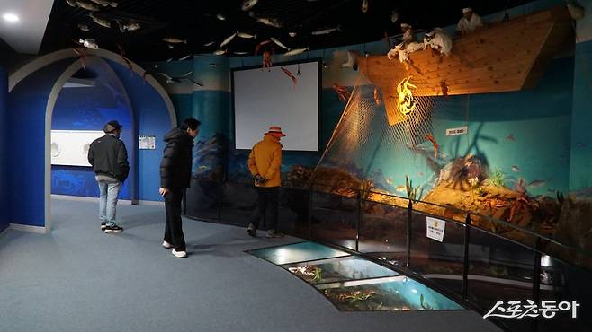 후포에 있는 울진대게홍보전시관 내부. 울진대게와 붉은대게에 대한 지식과 정보를 다양한 구성으로 소개하고 있다  울진｜김재범 기자 oldfield@donga.com