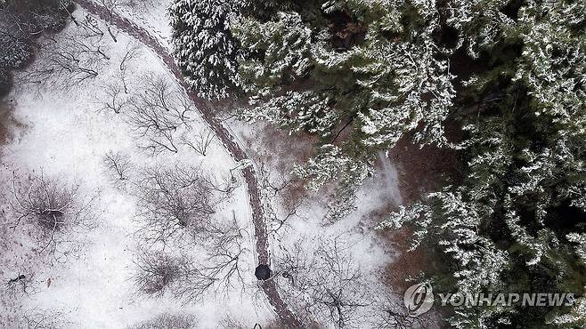 눈 내린 창원 (창원=연합뉴스) 김동민 기자 = 경남지역 일부 시군에 대설주의보가 발효된 12일 오전 경남 창원시 성산구 용지호수공원 산책로에 눈이 쌓여있다.
    창원지역은 오전 8시 20분 기준 눈이 그치고 비가 내리기 시작했다. 2025.2.12 image@yna.co.kr