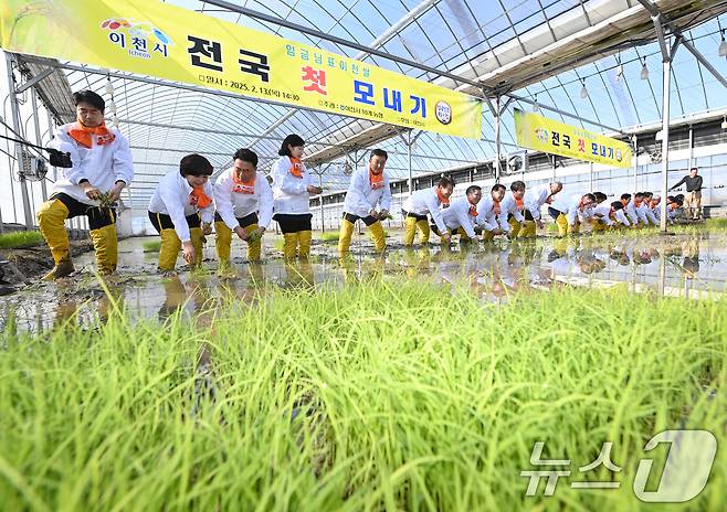 13일 오후 경기 이천시 호법면 한 비닐하우스 논에서 김경희 이천시장을 비롯한 참석자들이 올해 첫 모내기를 하고 있다. 이날 모내기에 사용된 벼 품종은 진광벼로 6월에 수확 예정이다. (공동취재) 2025.2.13/뉴스1 ⓒ News1 김영운 기자