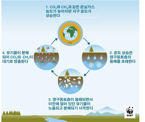 영구동토층의 탄소 순환도. 연구팀 제공