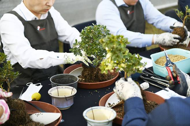 [서울=뉴시스]삼성 분재원 체험활동. (사진 = 삼성) 2025.02.12. photo@newsis.com *재판매 및 DB 금지