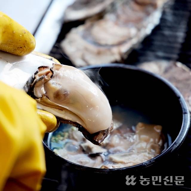 벚굴이 적당히 익으면 우러난 국물과 함께 뚝배기에 넣고 마저 익힌다.