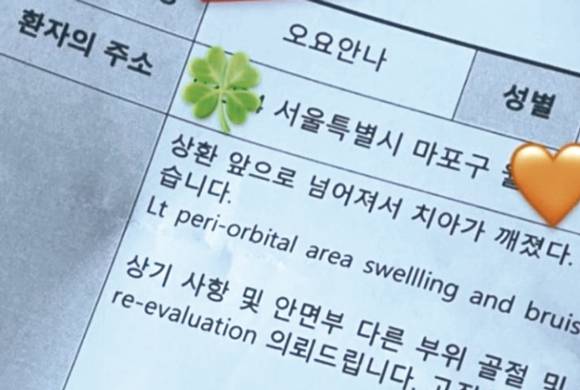 생전 오요안나가 남긴 메모와 진단서 ⓒ온라인 커뮤니티