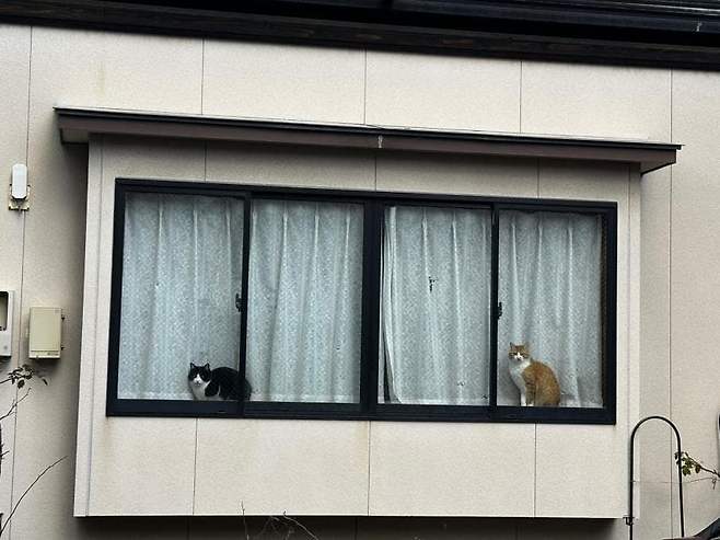 06bcdb27eae639aa658084e54484746f341eb383d8ea67323edd115528266362069d82abcf15341bd36be7c0e20d9d