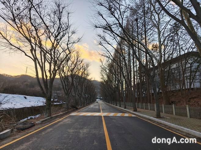 샤오미 14T로 직접 찍은 사진(무보정, 리사이즈 진행)