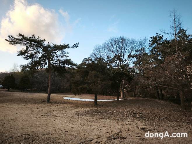 샤오미 14T로 직접 찍은 사진(무보정, 리사이즈 진행)