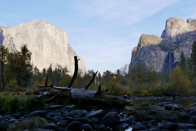 KakaoTalk_20250215_175842825_04.jpg [여행기]44일간 미국여행 13 / 요세미티