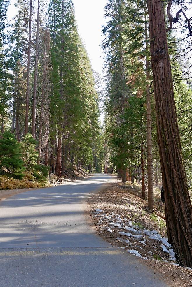 KakaoTalk_20250215_180445713_02.jpg [여행기]44일간 미국여행 14 / 요세미티