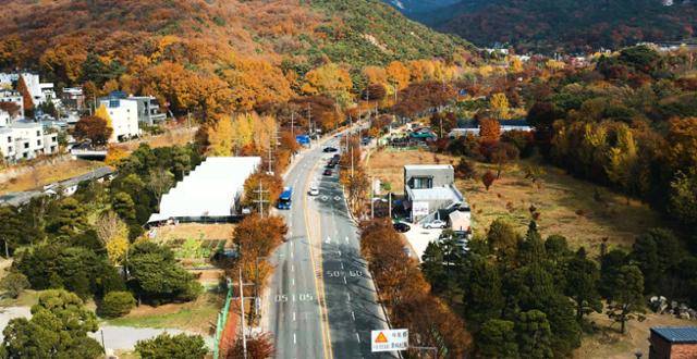 단풍이 한창이던 지난해 11월 15일 경기 고양시 덕양구 효자치안센터 정류장 앞길을 704번 버스가 달리고 있다. 영상 캡처