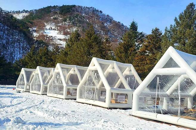 다리안 온 축제 투명 텐트