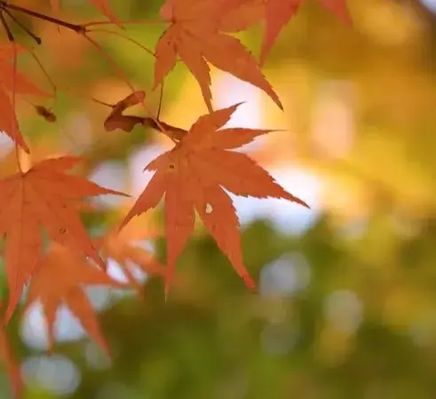 24b0d121e08676b16bbdc69528d527030c490f57dd85