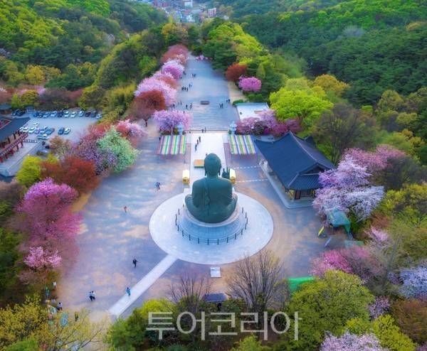 대상 '각원사의 봄' 이정희씨 작./사진제공=천안시&nbsp;