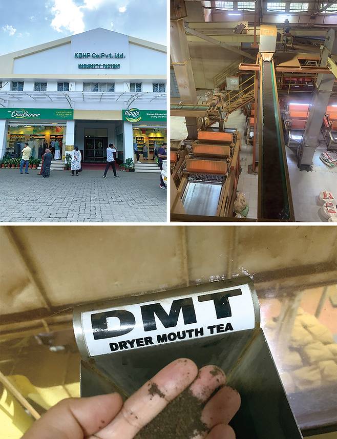 (좌로부터 시계방향)매투패티 차 공장 티숍 외부 전경, 매투패티 차 공장의 생산시설 전경, 매투패티 차 공장에서 건조된 찻잎