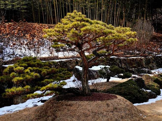 098ef376b58369f32095e69236ef203e6115e0fee08ceec2989d