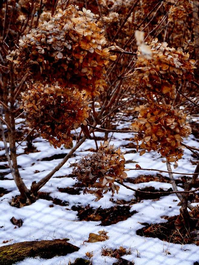 098ef376b5836af02095e69236ef203ee9206080b8ac0a1f40