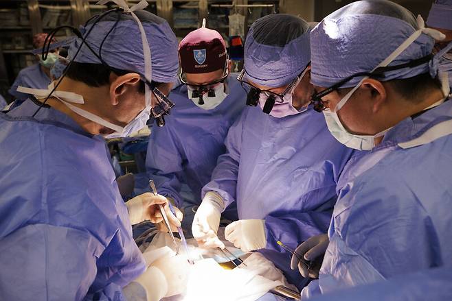 미국 보스터 매사추세츠종합병원 의료진이 1월25일 신부전증 환자 팀 앤드류스(66) 돼지 신장 이식 수술을 하고 있다. 매사추세츠종합병원 제공
