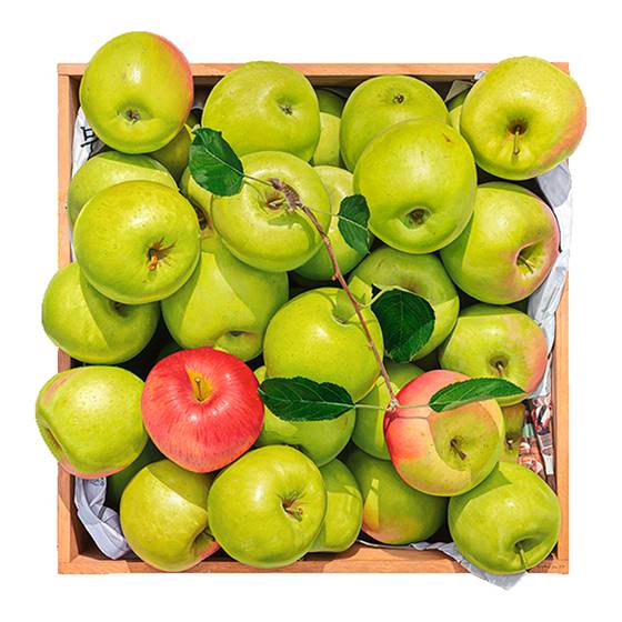 윤병락 작가의 회화 ‘가을 향기 25’. [사진 프린트베이커리]