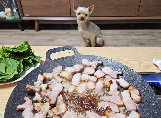 20250217_201732.jpg 저녁 통삼겹살로 한잔