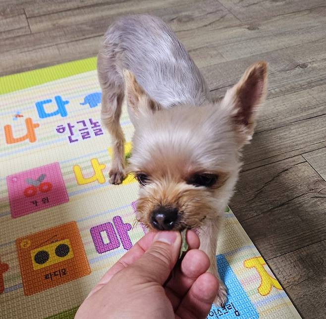 20250217_203714.jpg 저녁 통삼겹살로 한잔