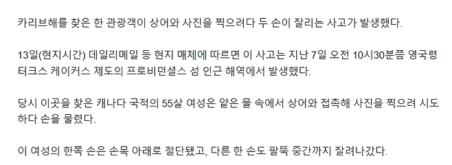 image.png 상어와 사진 찍으려다,,,