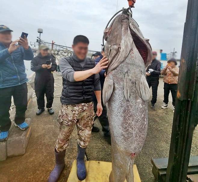 [제주=뉴시스] 지난 16일 제주시 해상에서 몸길이 183㎝·무게 140㎏ 대형 돗돔이 낚시어선에 의해 잡혔다. 이날 오전 제주 한 포구에서 돗돔을 잡은 낚시어선 선장과 돗돔. (사진=독자 제공) 2025.02.18. photo@newsis.com /사진=뉴시스