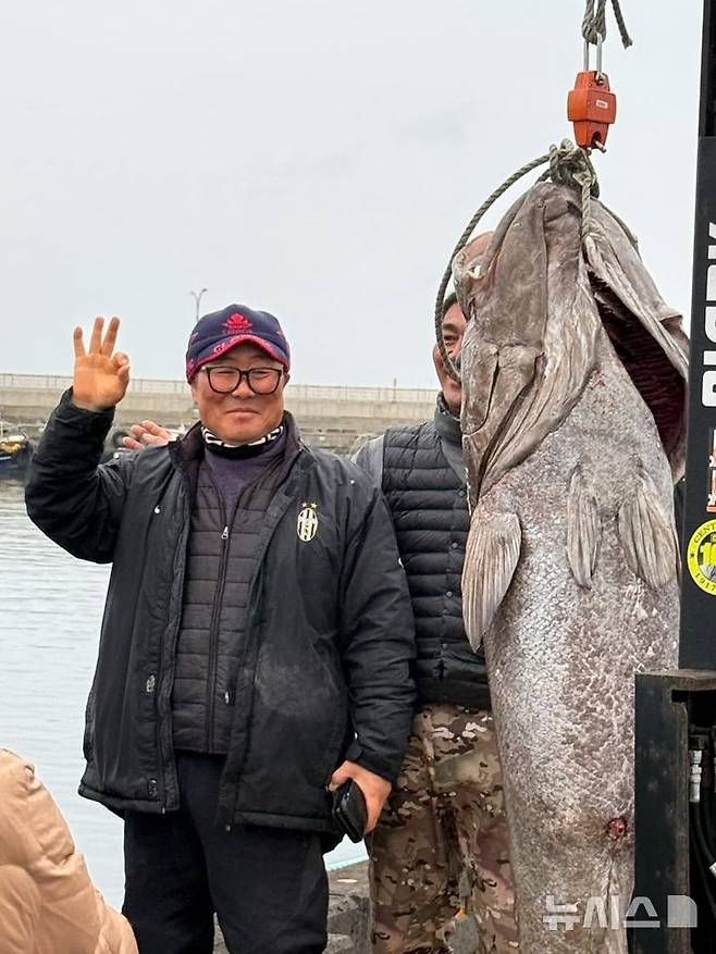 [제주=뉴시스] 태웅호 선장 김성기씨가 16일 오전 제주시 구좌읍 세화포구에서 낚시로 길이 183㎝·무게 140㎏ 대형 돗돔을 잡고 기념 사진을 찍고 있다. (사진=김성기씨 제공) 2025.02.18. photo@newsis.com