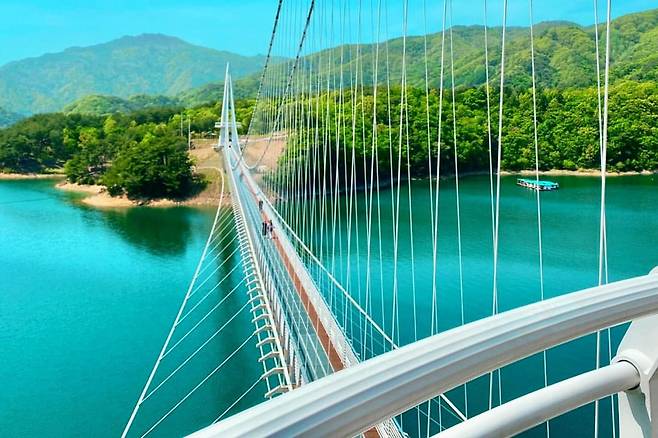 양구 상무룡 출렁다리