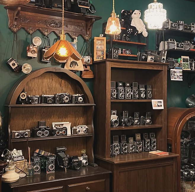 인스타그램 @allycameras