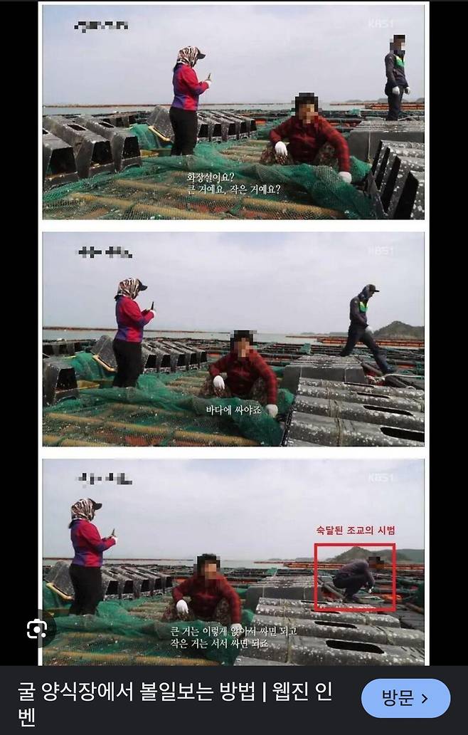 IMG_5701.jpeg 끝없이 커져가는 날조 때문에 억울한 굴 양식장