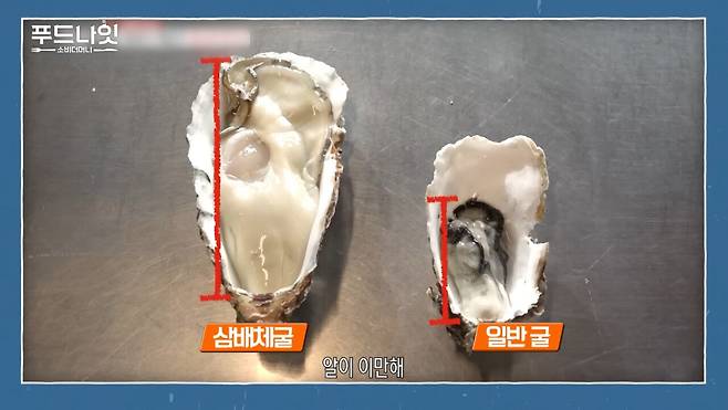 IMG_5720.jpeg 끝없이 커져가는 날조 때문에 억울한 굴 양식장