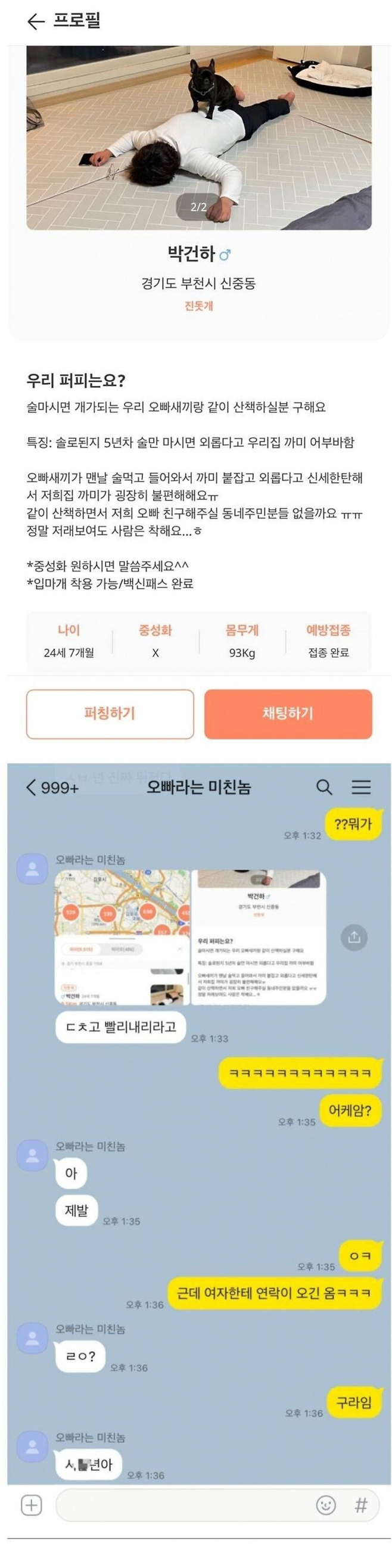 image.png 당근에 올라온 강아지 분양 공고 .jpg