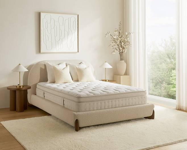 마테라소 포레스트 컬렉션 클라우드H. 신세계까사 제공