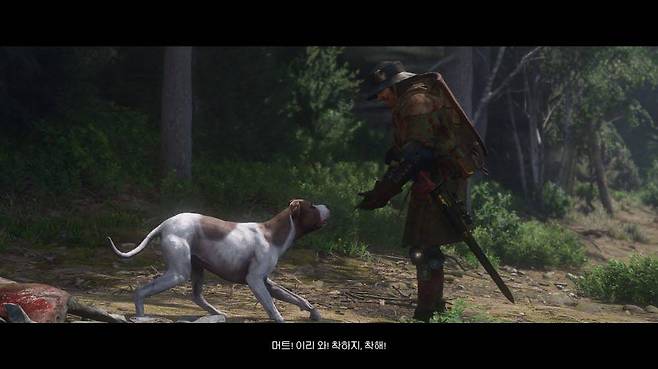 헨리의 든든한 동반자 머트