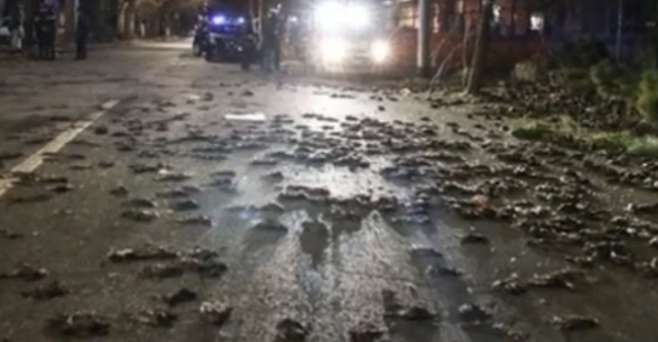 [유튜브 VESA Channel 영상 캡쳐]