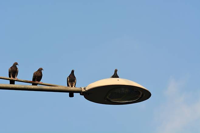 [게티이미지뱅크]