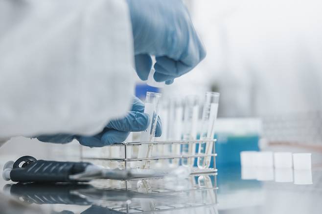 사진은 기사 내용과 직접적 관련 없음. /사진=게티이미지뱅크